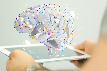 求解剖学的所有名词解释