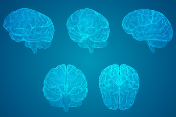 读书手抄报最难一等奖