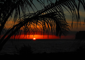 高中物理太难了,学不会怎么办