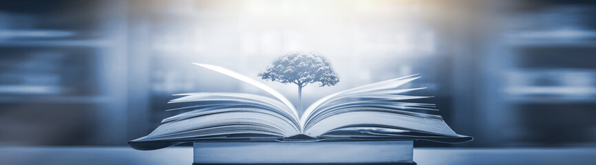 消防安全工作总结报告