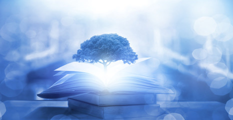 护士基本常识三查七对