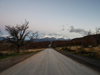 猴子的读音英语