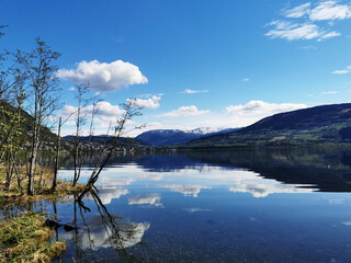 李世民不是汉族人唐朝皇室竟是夷狄的后裔！