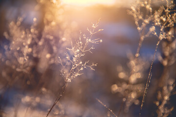 简述教学任务的基本内容