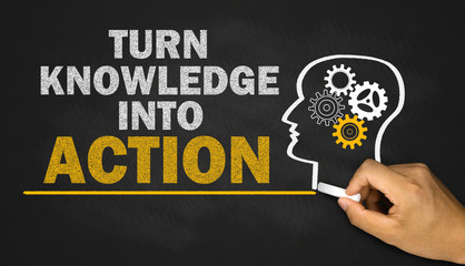 常见的花坛植物有哪些？