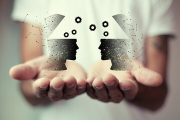 油菜花的特征和特点