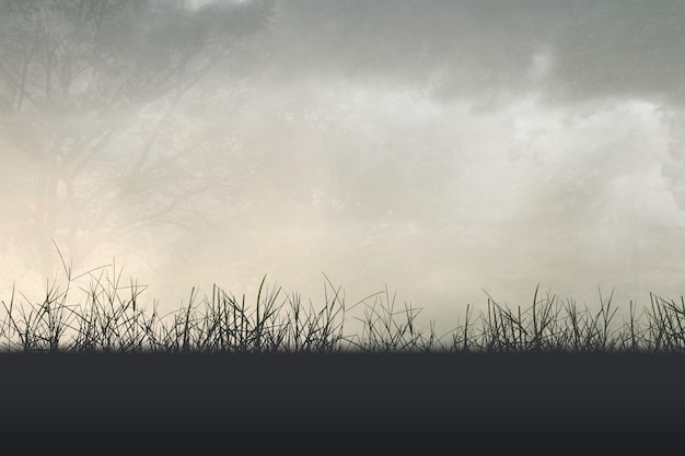 校外劳动有哪些项目