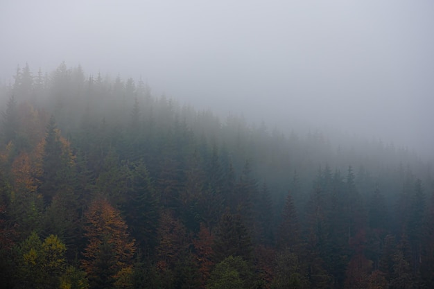 自来卷三木是哪个大学毕业的