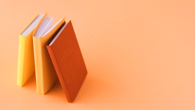 幼儿教师应具备的专业知识和能力