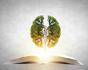 中国大百科全书·军事卷