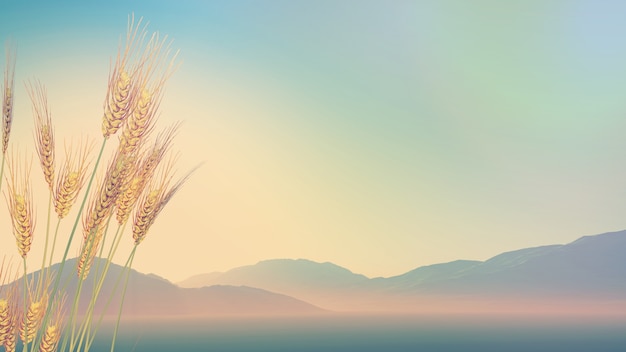 关于动物的故事