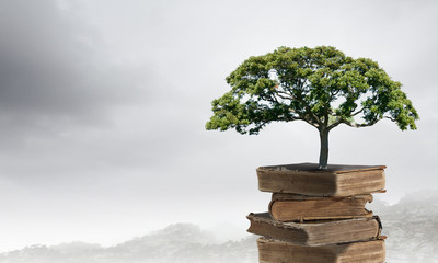 影响海钓鱼口的3个因素