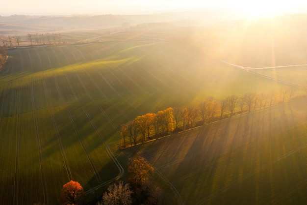 护理人员培训计划ppt