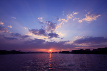 优美的开头句子摘抄