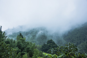 高中物理太难了,学不会怎么办